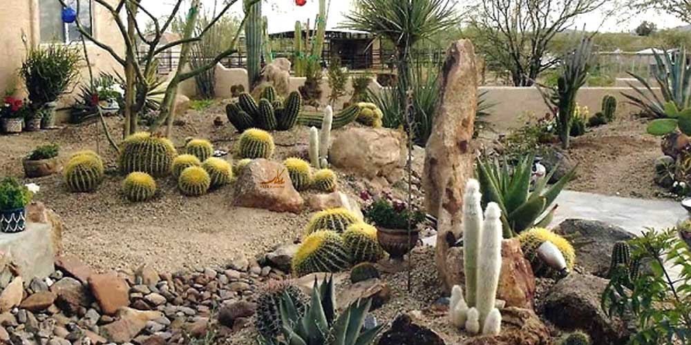 طراحی فضای سبز بیابانی